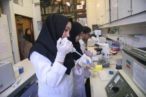 تضعیف امید، بزرگ‌ترین آسیب به اقتصاد دانش‌بنیان است| اساسنامه‌ ای که مدیریت را محدود می‌کند.